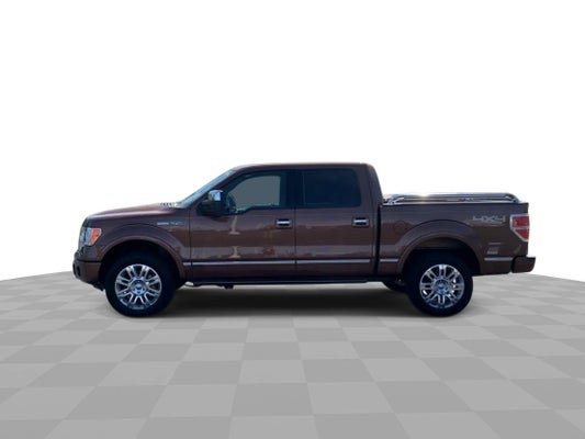2011 Ford F-150 Platinum in Indianapolis, IN - Ed Martin Automotive Group