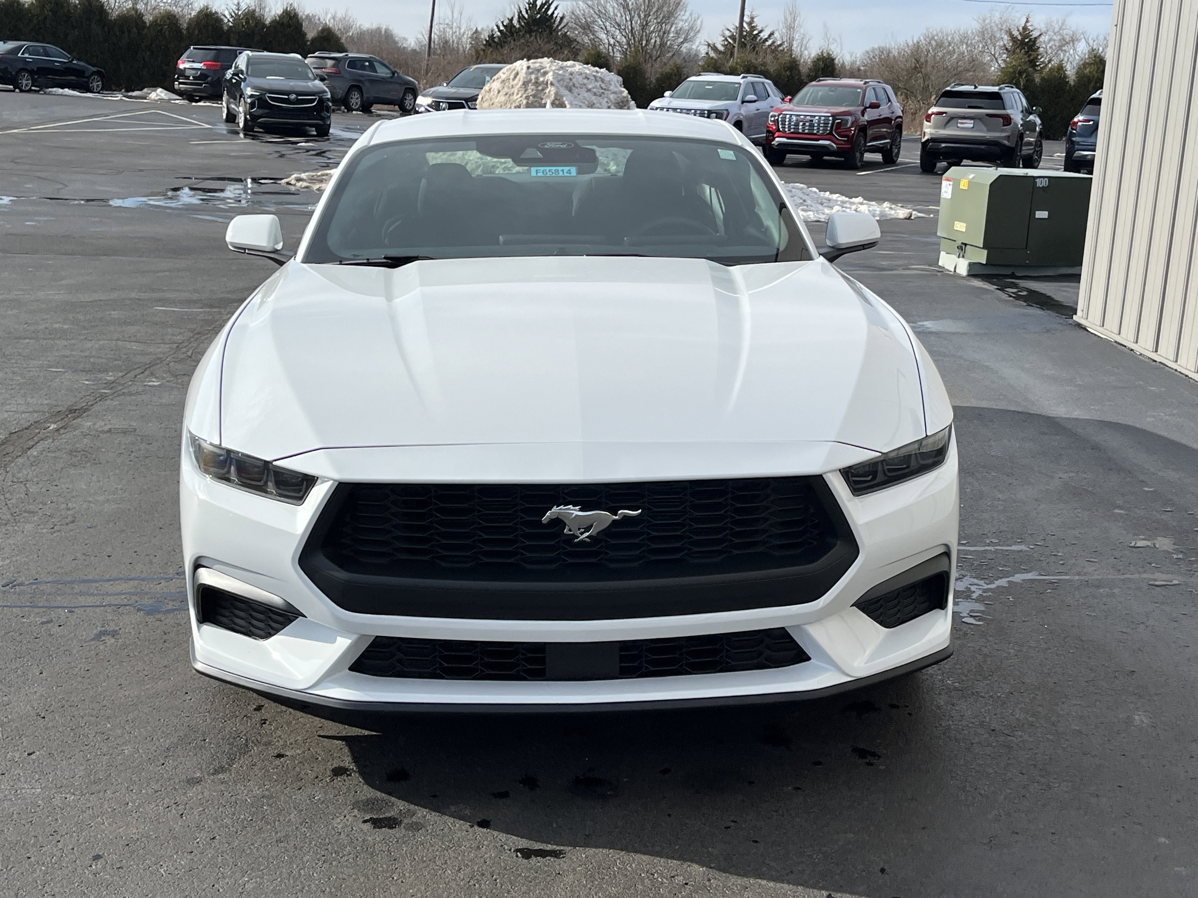 2026 Ford Mustang EcoBoost