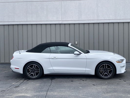 2020 Ford Mustang EcoBoost Premium in Indianapolis, IN - Ed Martin Automotive Group