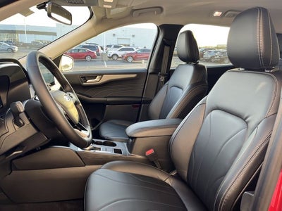 2026 Ford Escape Platinum