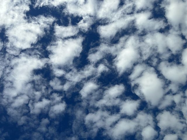 2012 Lincoln MKS Base