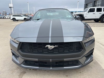2024 Ford Mustang EcoBoost Premium