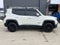 2015 Jeep Renegade Limited