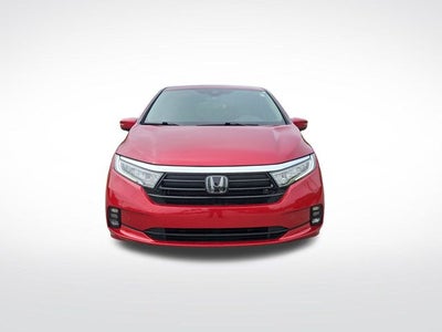 2024 Honda Odyssey Elite