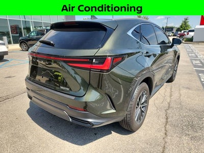 2024 Lexus NX 250 Premium