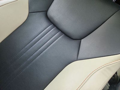 2024 Lexus NX 250 Premium