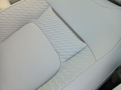 2026 Nissan Leaf PLATINUM+