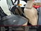 2026 Toyota 4Runner Hybrid Limited
