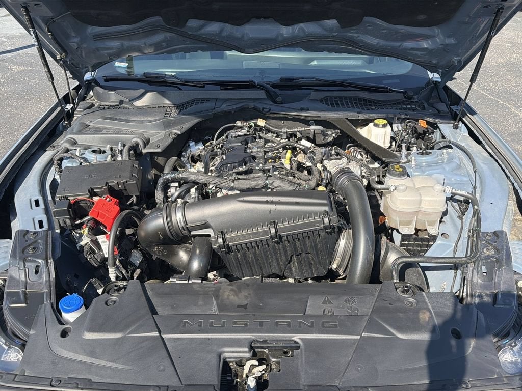 2025 Ford Mustang EcoBoost Premium Fastback