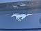 2025 Ford Mustang EcoBoost Premium Fastback