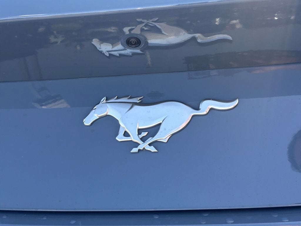 2025 Ford Mustang EcoBoost Premium Fastback